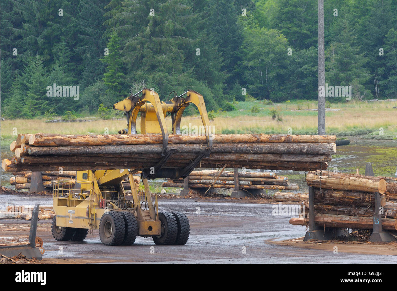Lumber mill log storage with logging equipment, Telegraph Cove