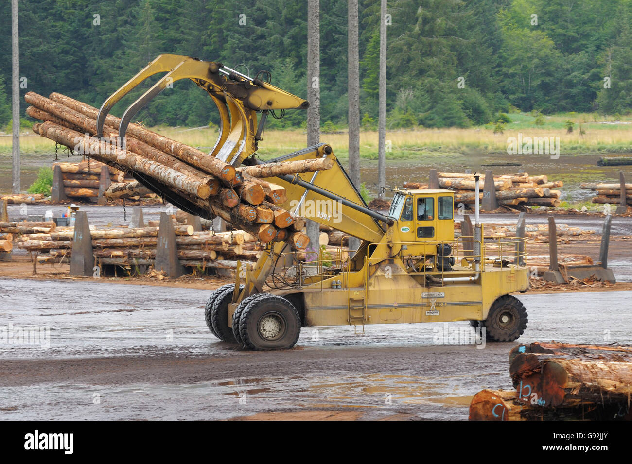Lumber mill log storage with logging equipment, Telegraph Cove