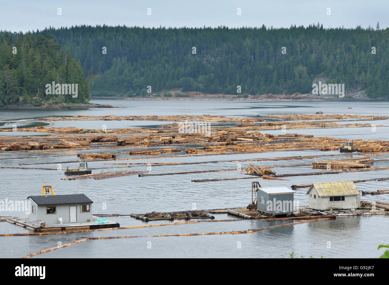 Lumber mill log storage, Telegraph Cove, Vancouver Island, British