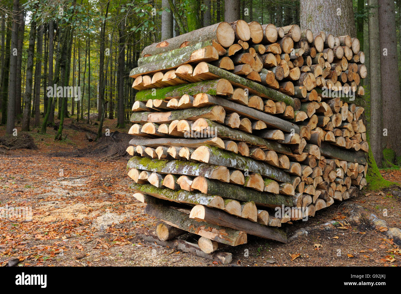 Pile Of Wood Karwendel Mountains Bavaria Germany Stock Photo Alamy pile-of-wood-karwendel-mountains-bavaria-germany-stock-photo-alamy
