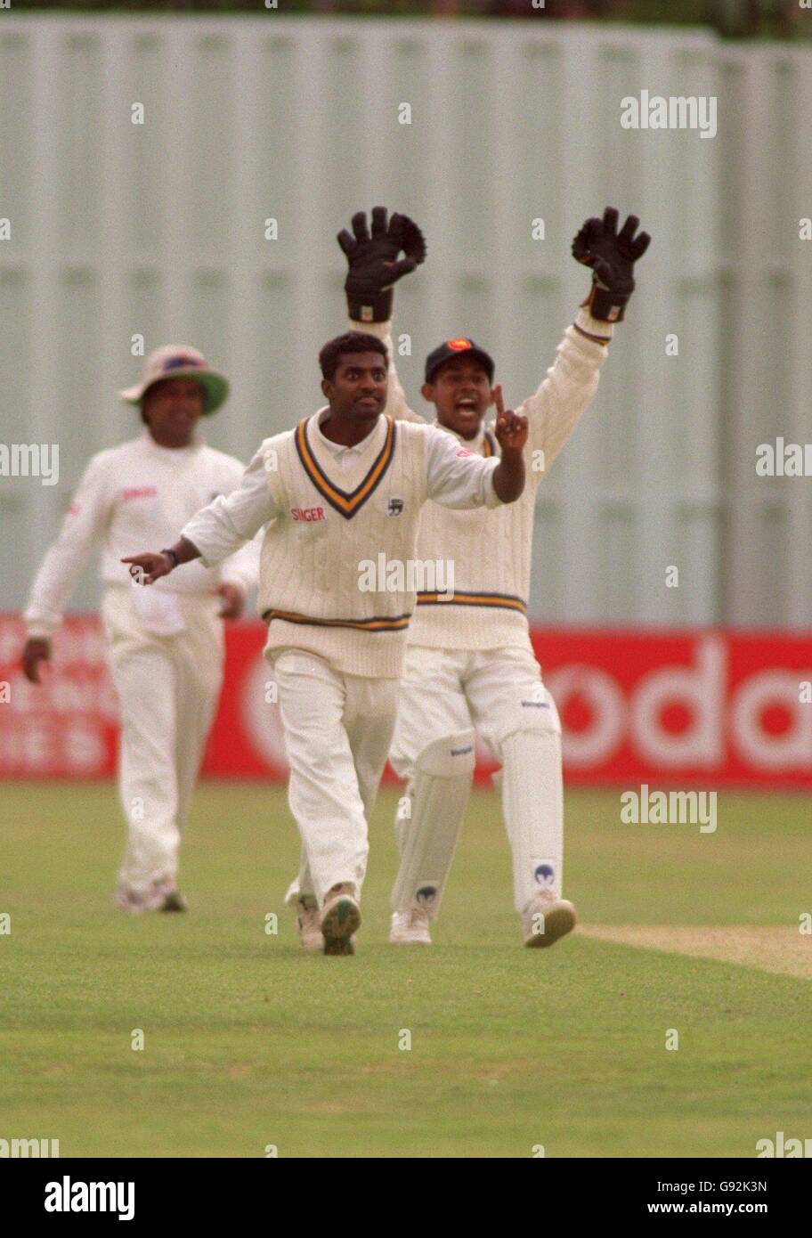 Cricket - World Cup Warm Up Match - Nottinghamshire v Sri Lanka. Muttiah  Muralitharan, Sri Lanka Stock Photo - Alamy