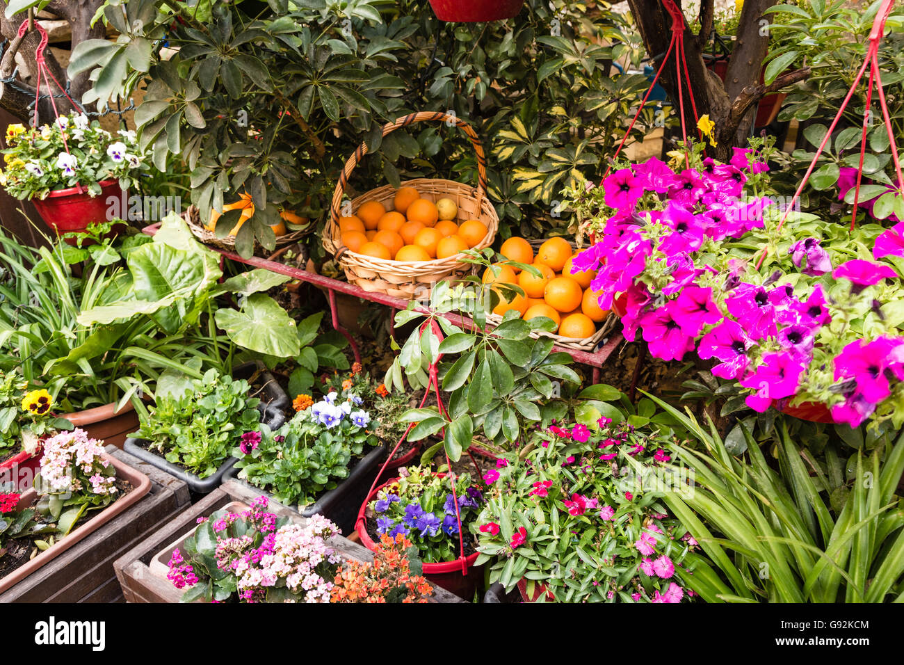 Garden sitting in tearoom in Mdina, Malta - Old Capital and the Silent City of Malta - Medieval Town Stock Photo