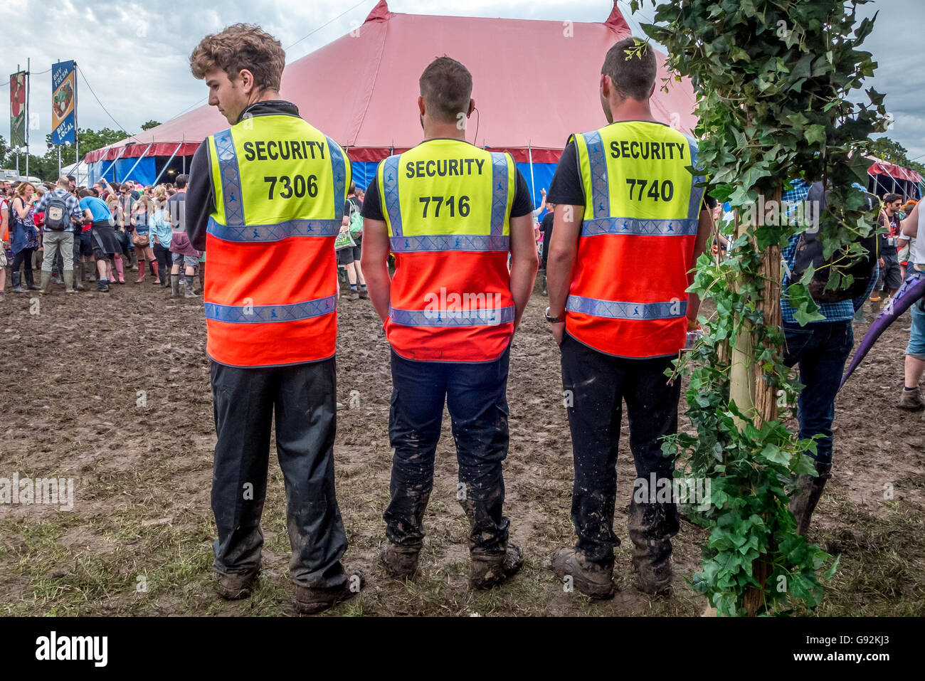 A security team at William's Green at The 2016 Glastonbury Festival of  Contemporary Performing Arts Stock Photo - Alamy
