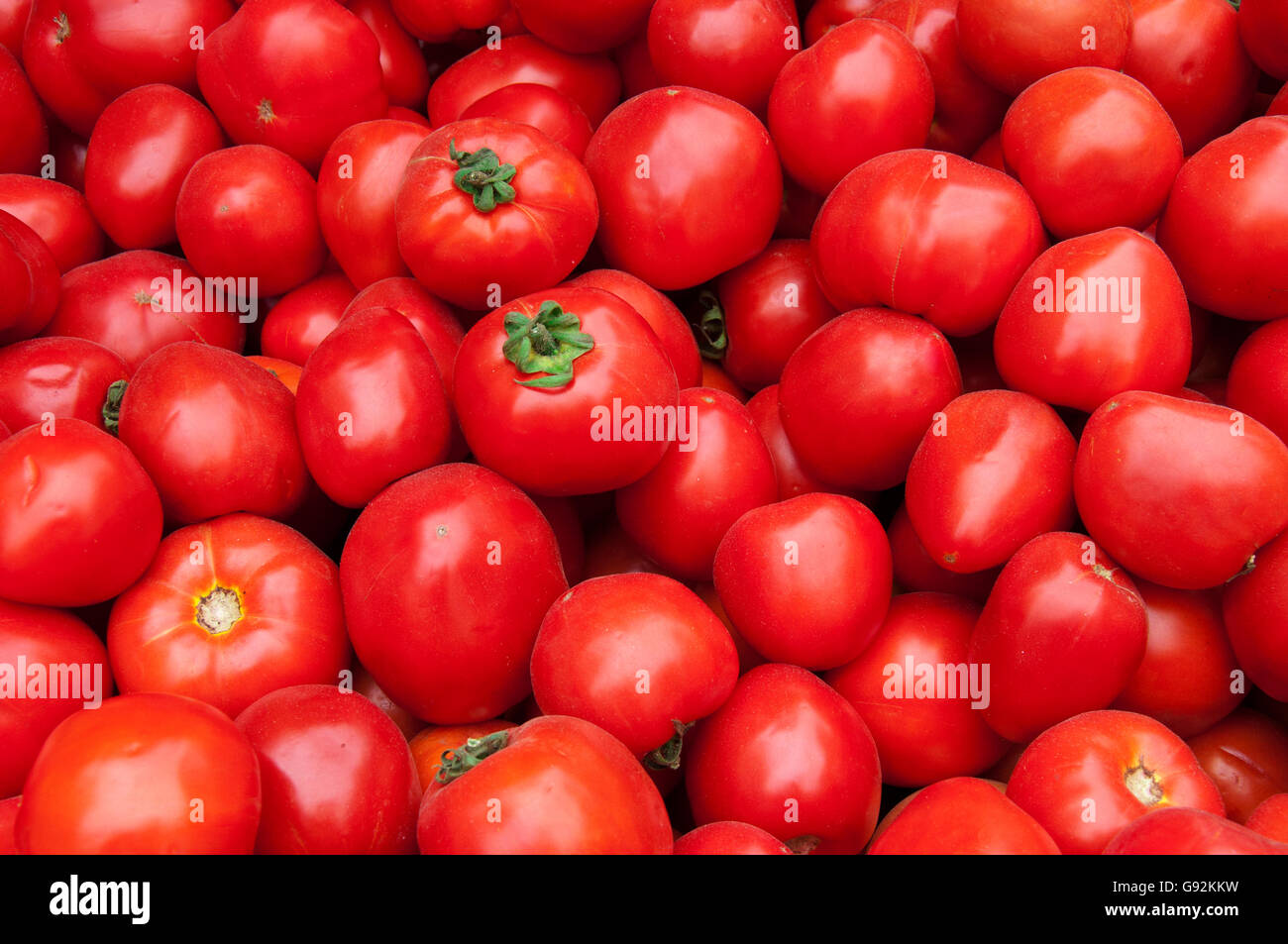Group of Red Tomato Texture Stock Photo