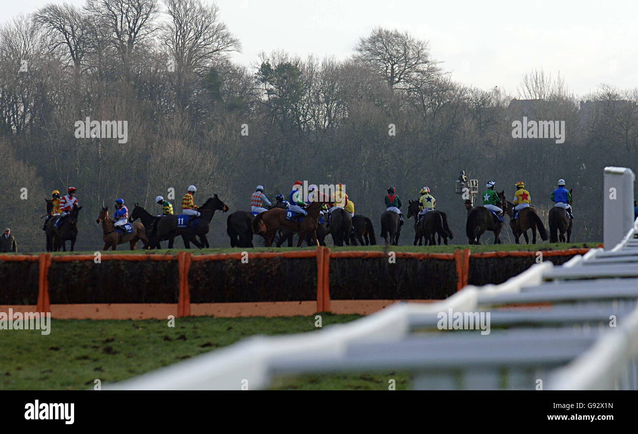Runners including the eventual winner L'Aventure (No11) circle at the