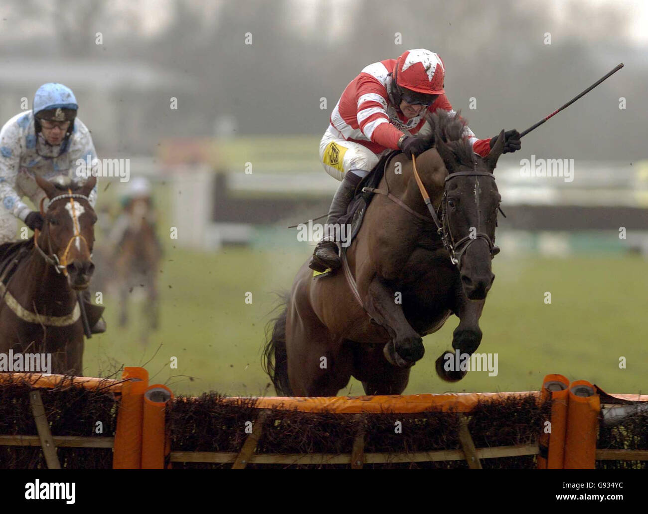 Be Be King, ridden by Ruby Walsh goes on to win the Leamington Novices' Hurdle race at Warwick racecourse, Warwick, Saturday January 14, 2006. PRESS ASSOCIATION Photo. Photo credit should read: PA Stock Photo