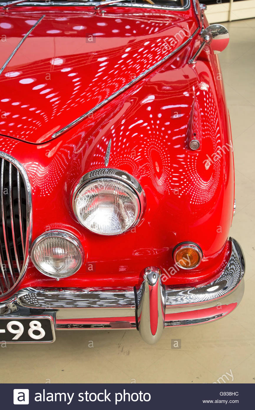 Jaguar Pedigree Stock Photos & Jaguar Pedigree Stock Images Alamy