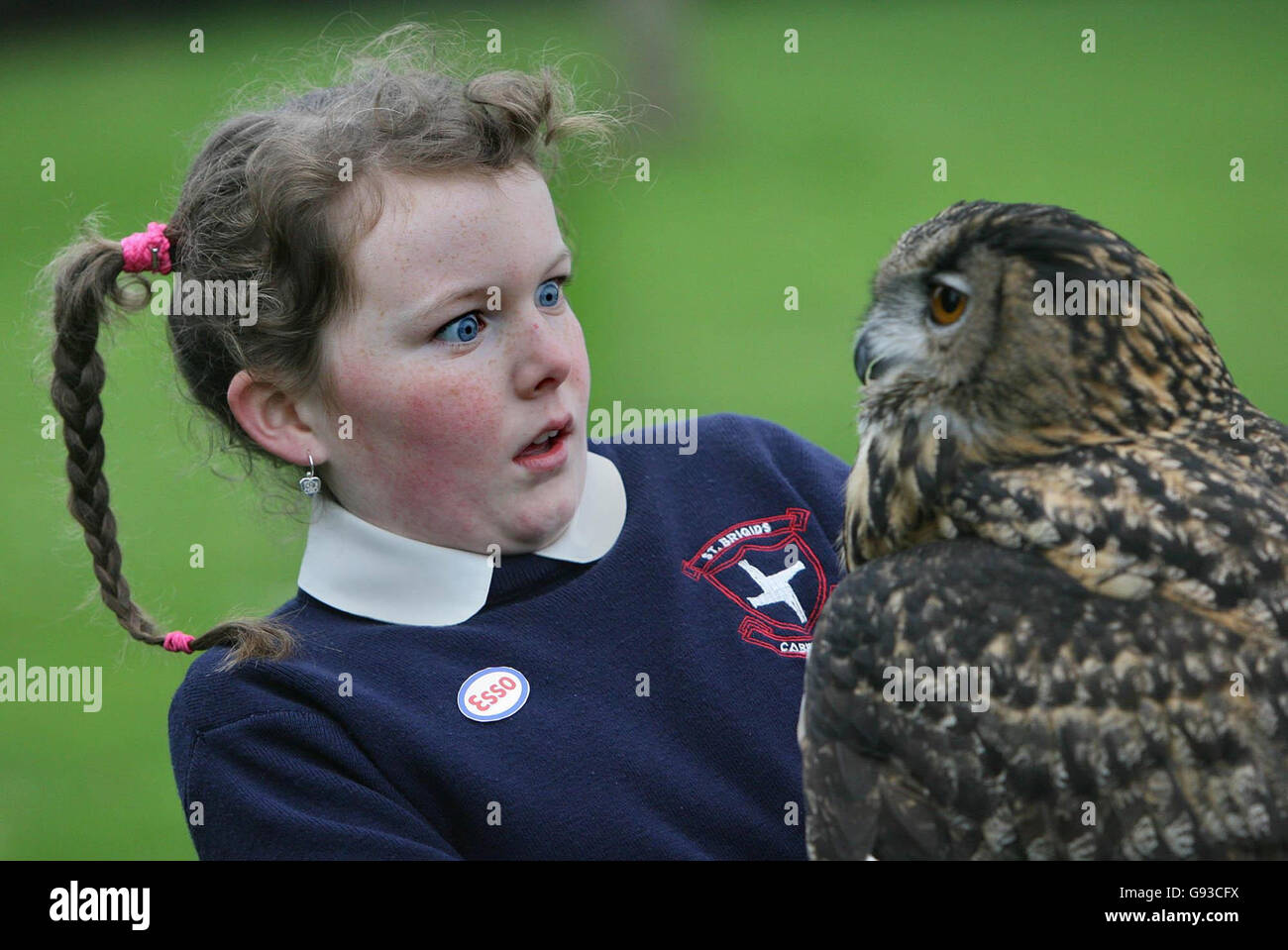 Ten-year-old Julie Duffy from St Brigid's National School, Cabinteely, south Dublin, with Fluffy the 25-year-old Owl, at the launch, Wednesday 25th January, of the Esso wildlife art challenge where children are inspired to use a bird or animal to demonstrate their creativity with a painting or drawing. Last year 32,000 children entered the competition. PRESS ASSOCIATION Photo. Photo credit should read: Niall Carson/PA Stock Photo