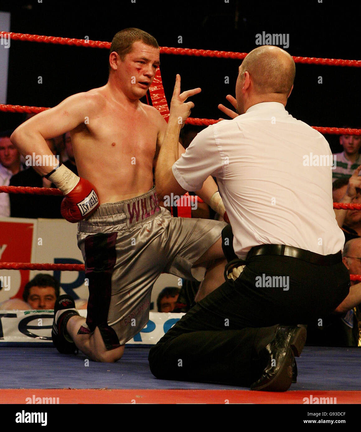 The Referee Counts Out Noel Wilders After He Was Floored By Bernard 