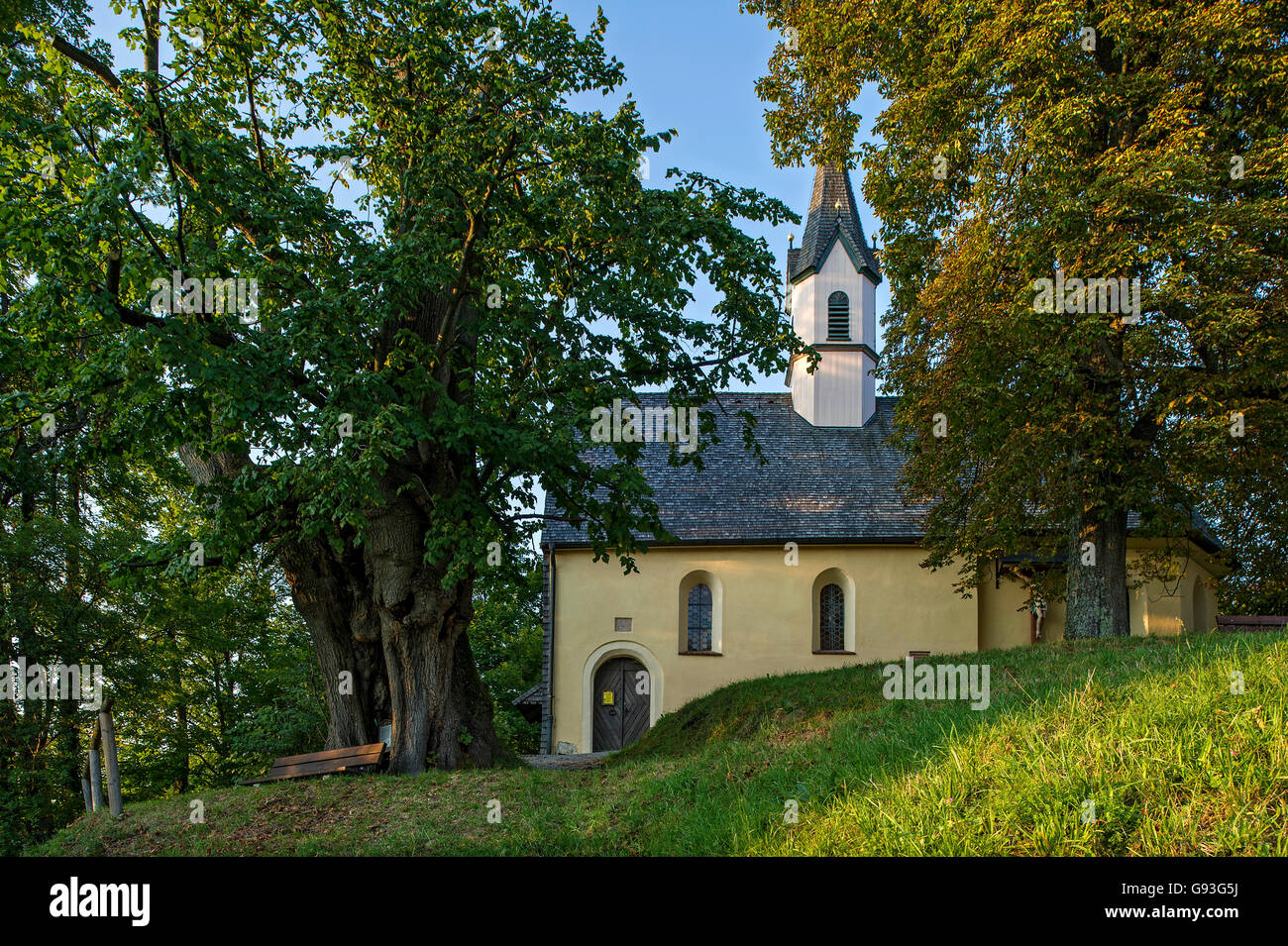 Gothic chapel of St. George, old lime tree in vineyards, Markt Schliersee, Upper Bavaria, Bavaria, Germany Stock Photo