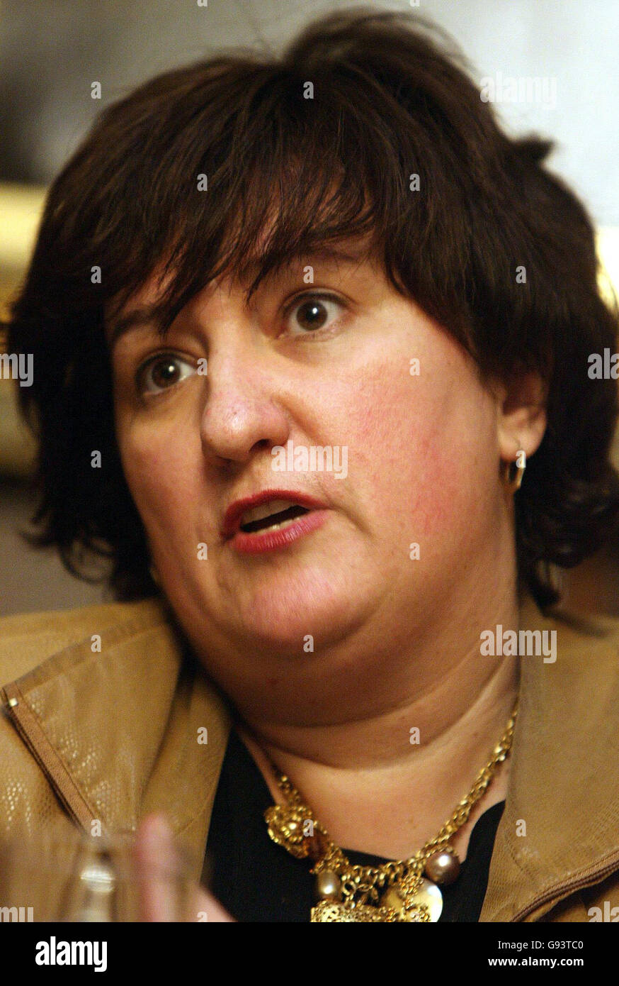 ZIta Guramie from the Austrian Party of European Socialists speaks at an international conference organised as part of the Party of European Socialists' People's Dialogue initiative at the Mansion House in Dublin, Friday January 27, 2006. See PA Story POLITICS EU Ireland. PRESS ASSOCIATION Photo. Photo credit should read: Niall Carson/PA Stock Photo