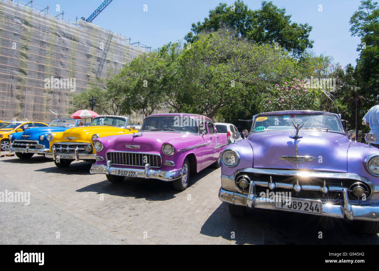 Havana Cuba Habana central colorful old classic 1950's cars on display