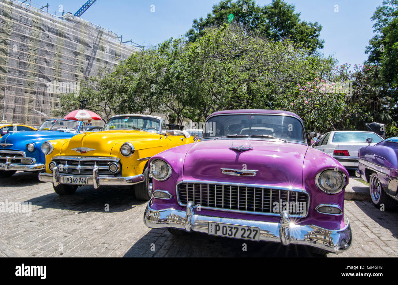 Havana Cuba Habana central colorful old classic 1950's cars on display