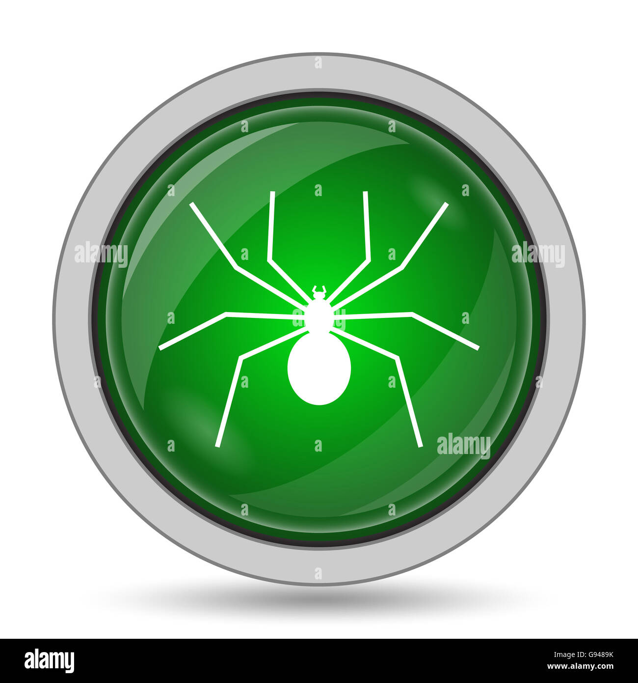 Spider icon. Internet button on white background Stock Photo - Alamy