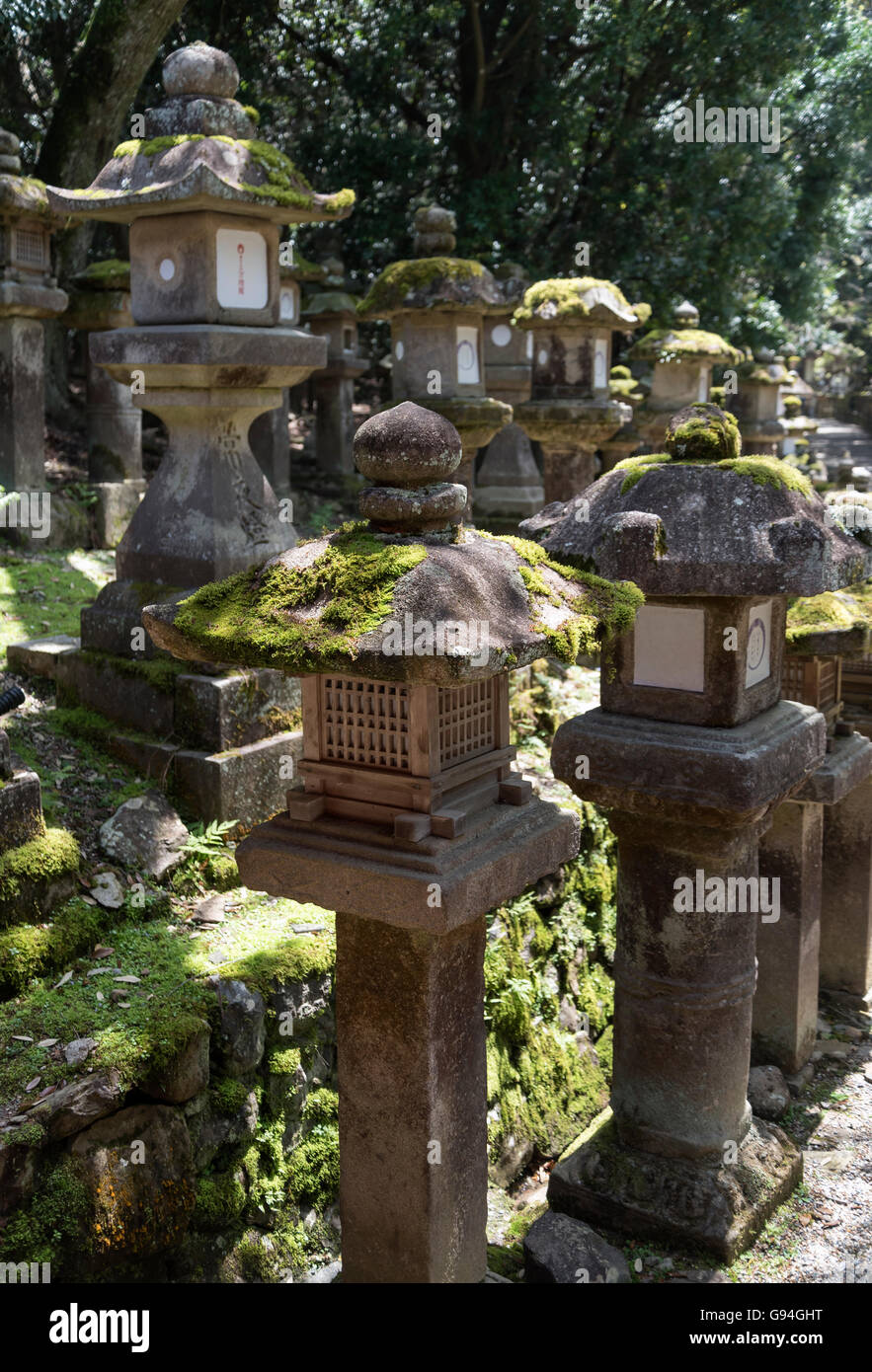 Toro (stone lanterns) along the path to Kasuga Taisha Shrine in Nara, Japan Stock Photo