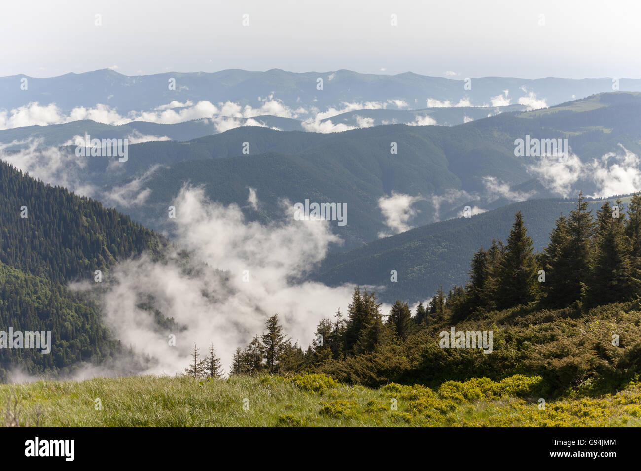 Fog covering mountain forests hi-res stock photography and images - Alamy