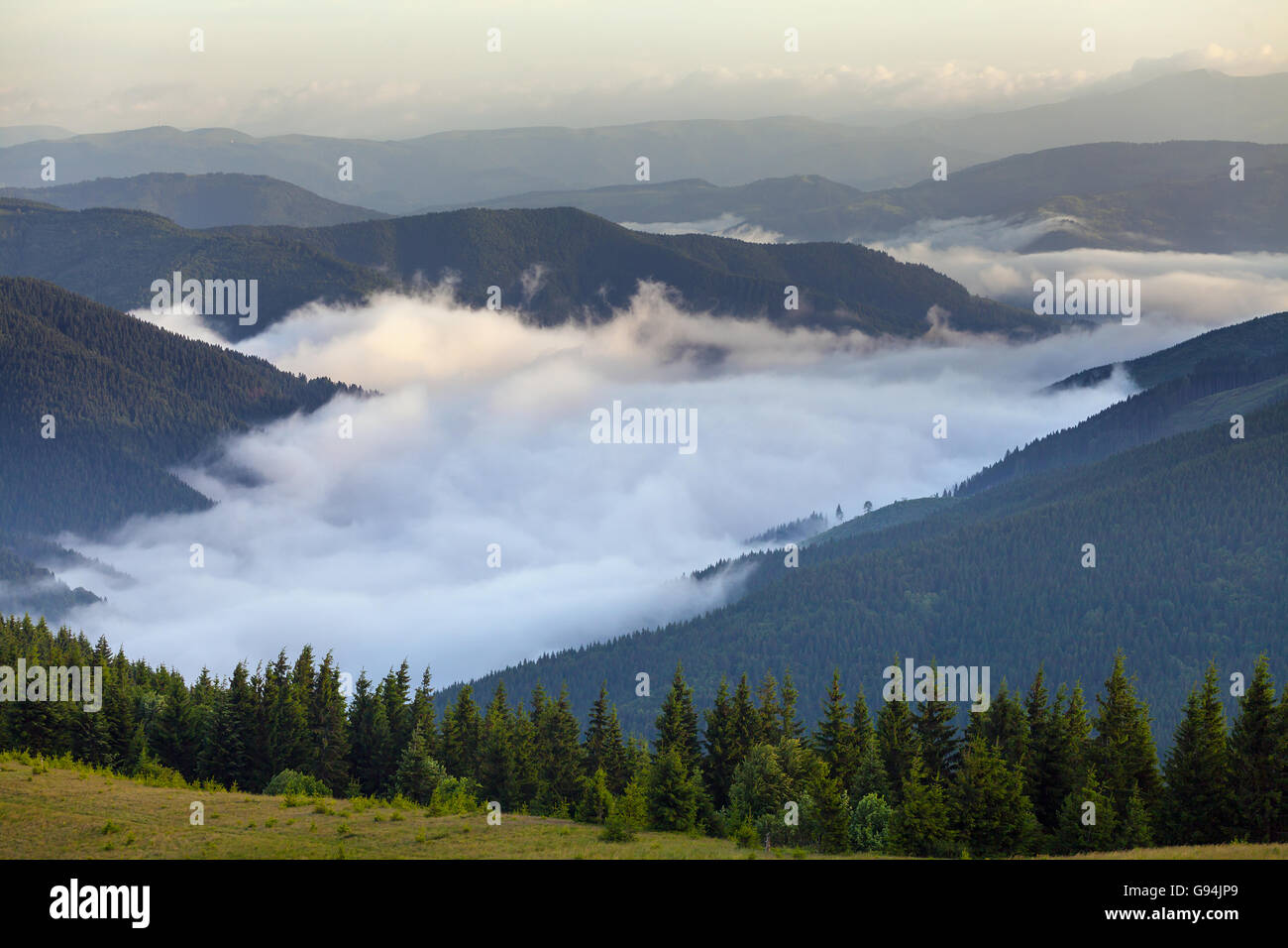scenic view of mountain forests covering by fog Stock Photo - Alamy