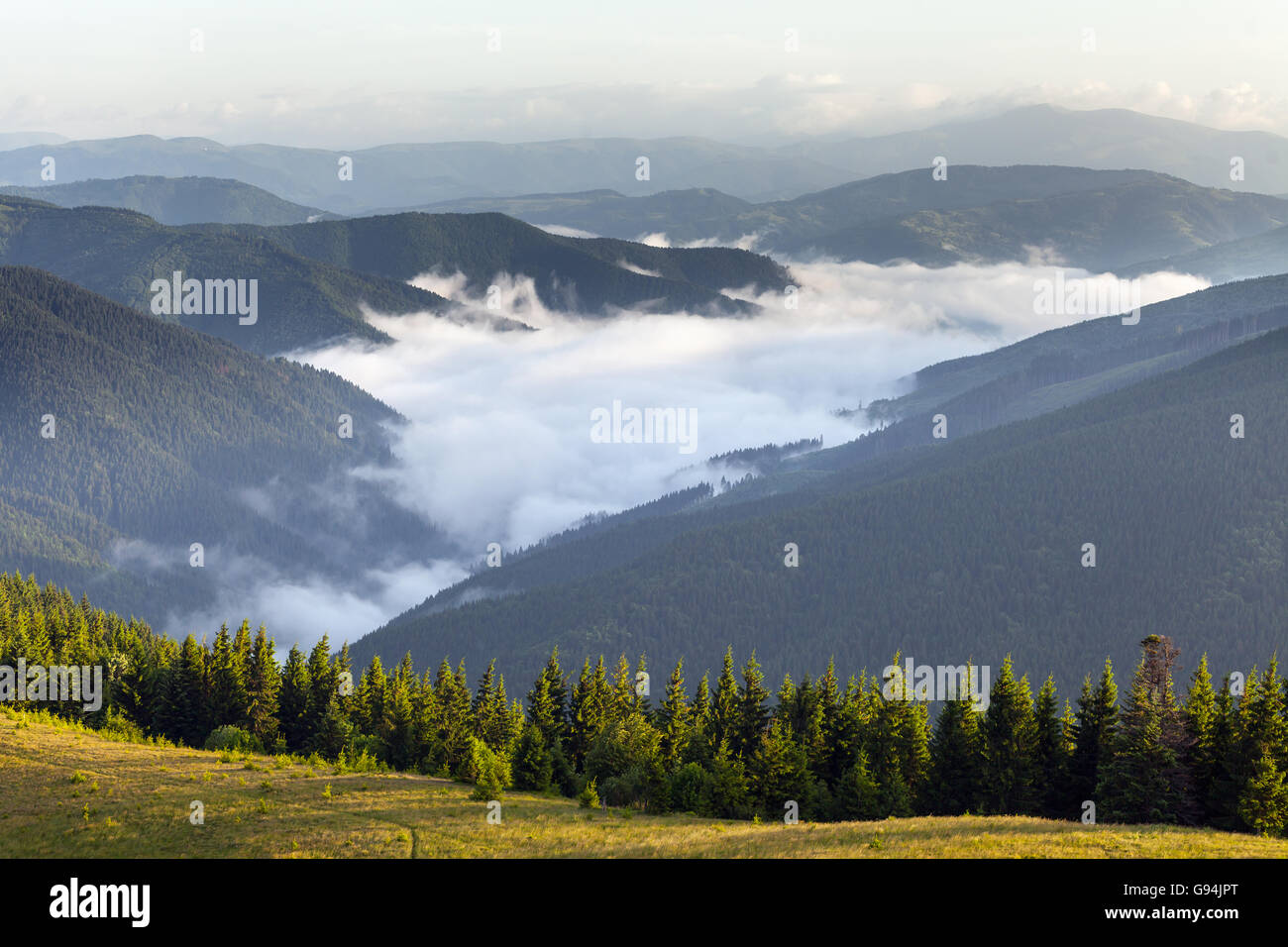 scenic view of mountain forests covering by fog Stock Photo - Alamy