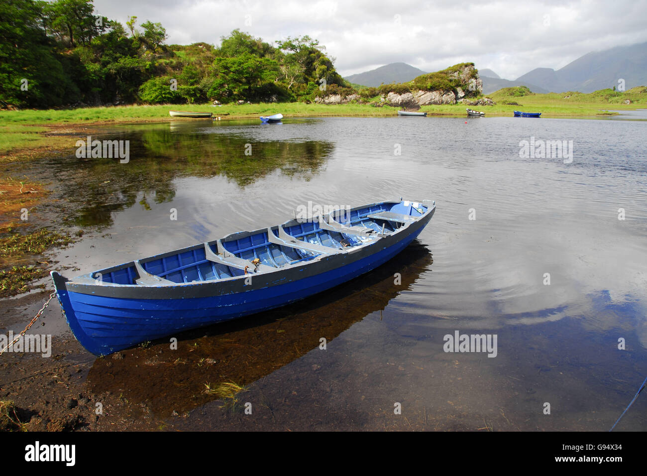 Rowing boat, The Long Range, Killarney national park, Rind of Kerry, County Kerry, Ireland Stock Photo