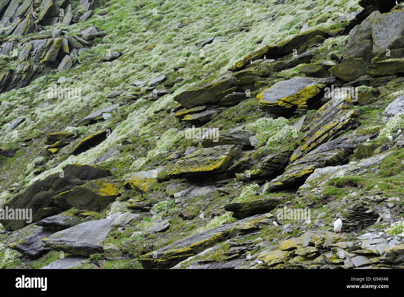 Skellig Michael, County Kerry, Ireland Stock Photo