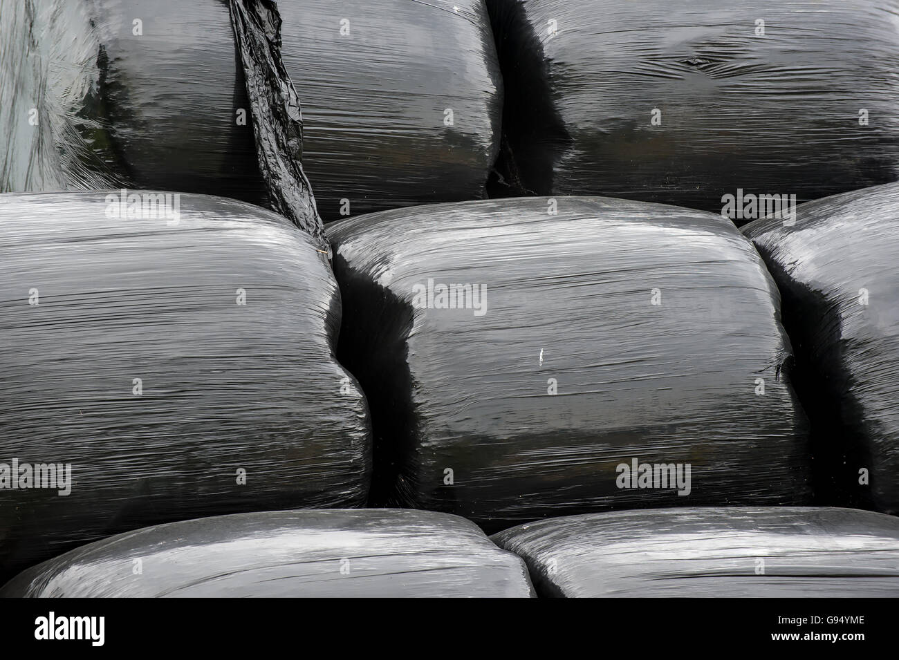 Black plastic wrapped hay bales Stock Photo