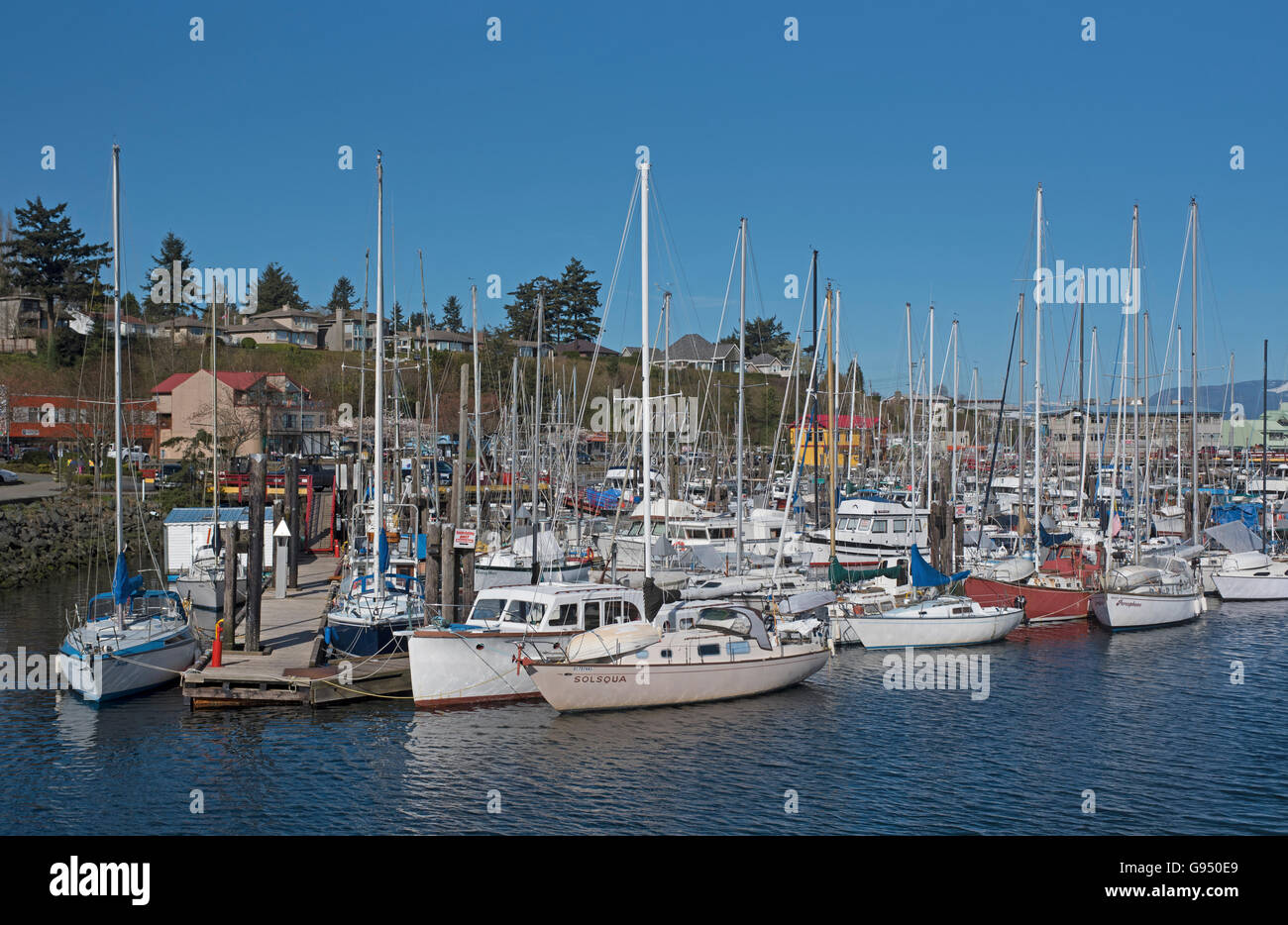 boat marina at campbell river on vancouver island british columbia G950E9