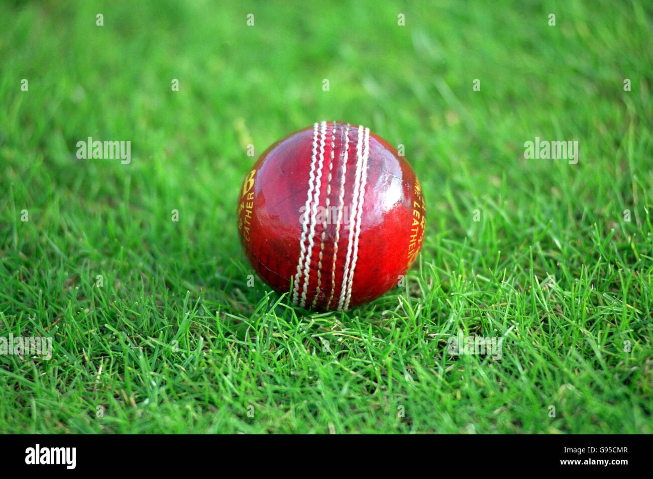 Cricket cutoutable hires stock photography and images Alamy