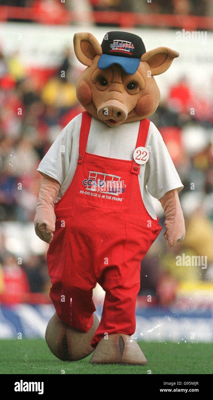One of the Bristol City's mascots that was involed in a fight with The Wolverhampton Wanderers mascot 'Wolfie'. Stock Photo