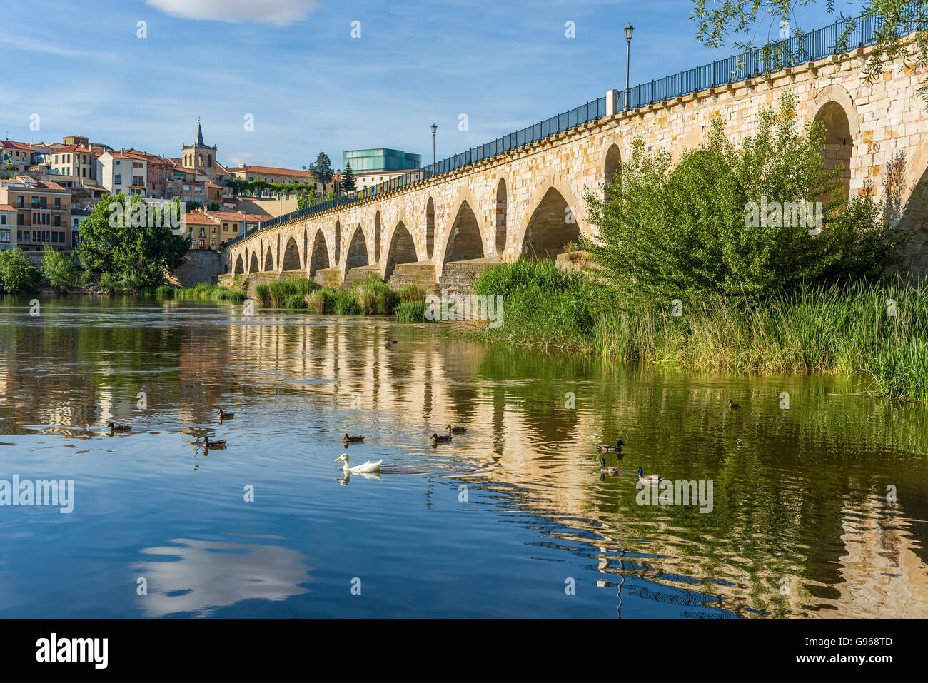 Stone bridge over Douro river and Zamora city in background. Castilla y Leon, Spain. Stock Photo