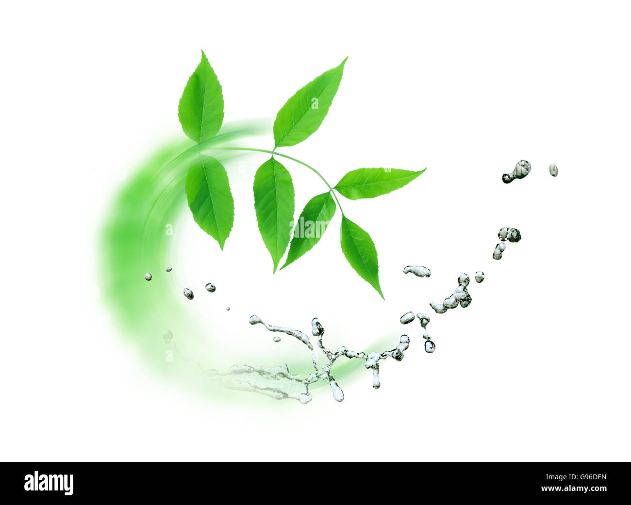 Ecology concept. Abstract composition with green leaves and splashing water Stock Photo