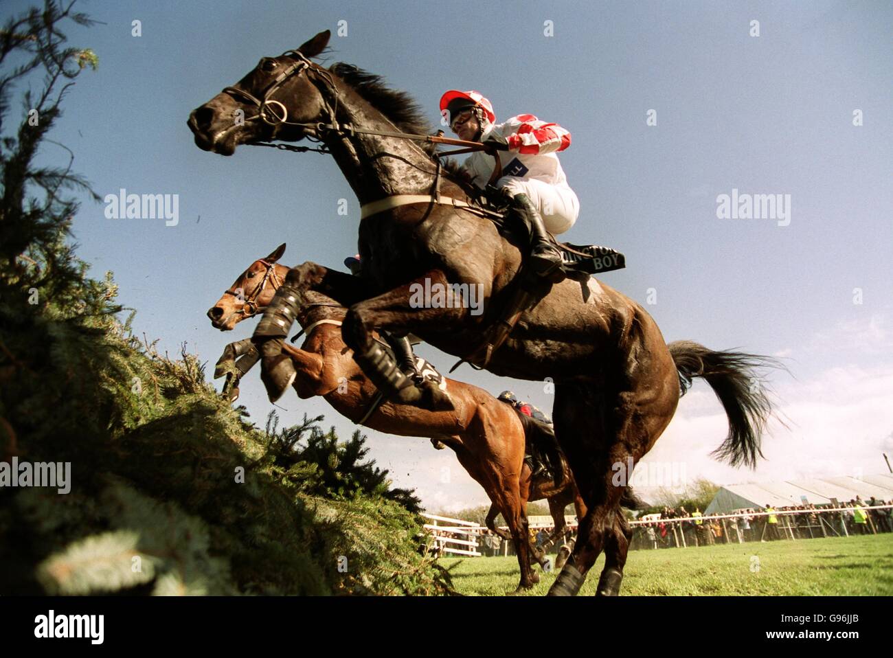 Horse Racing - Martell Grand National - Aintree. Addington Boy, ridden by Adrian Maguire, who finished fourth Stock Photo