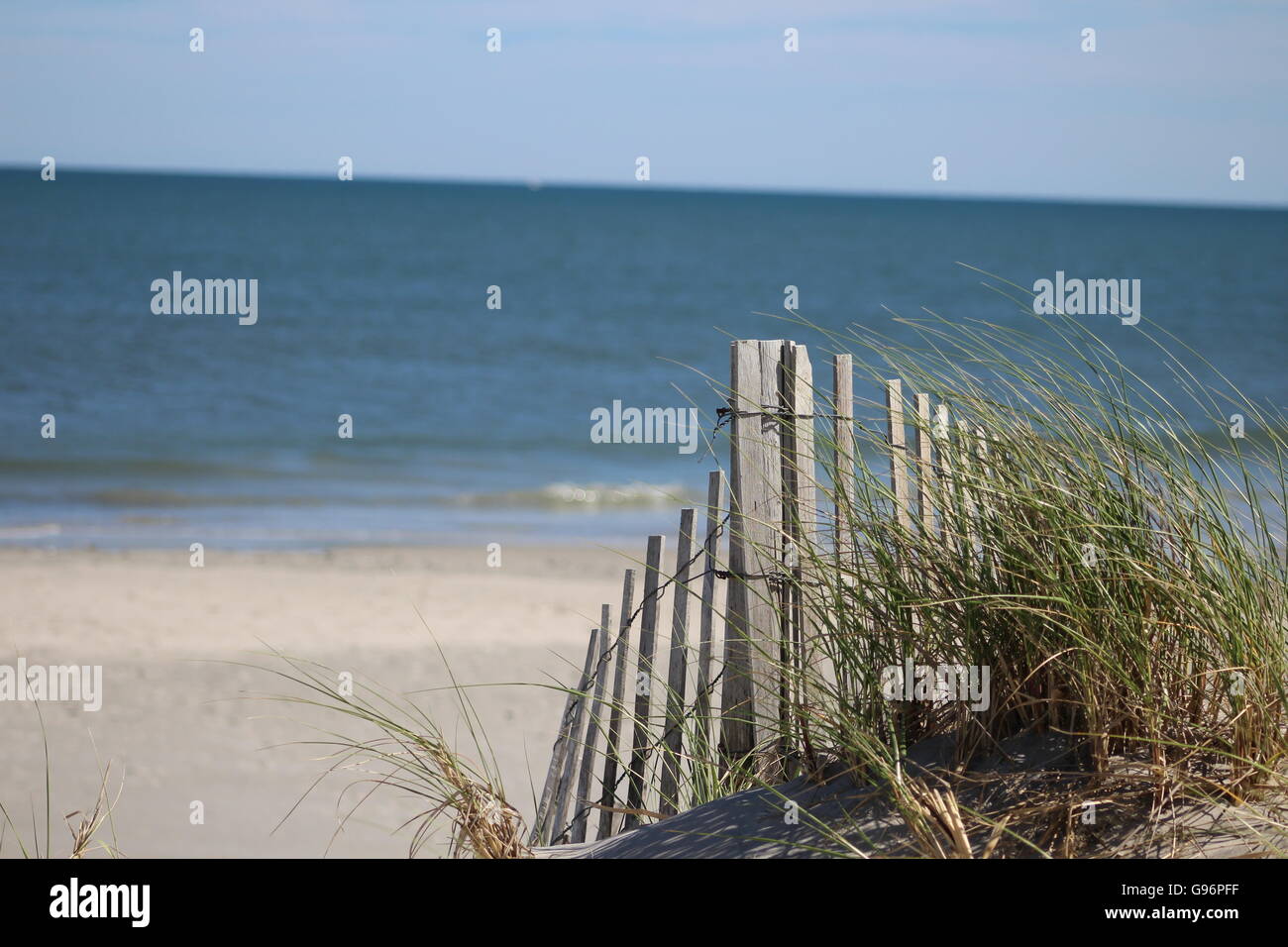 Sand Dune Beach Fence With Sea Grass Reeds by the Ocean. Blue Sky and ...