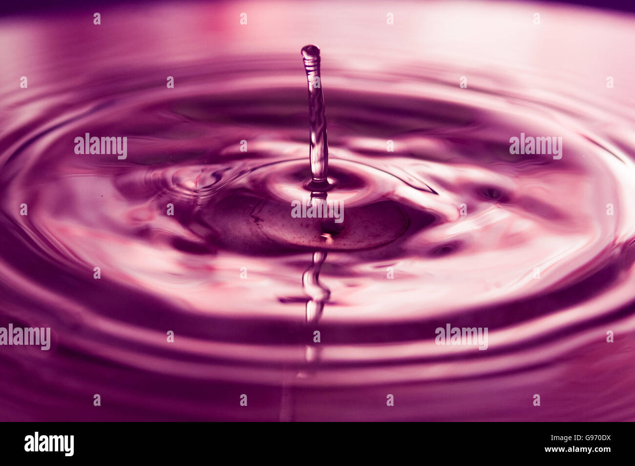 Macro photo of water drops falling into a pool of water, causing a ...
