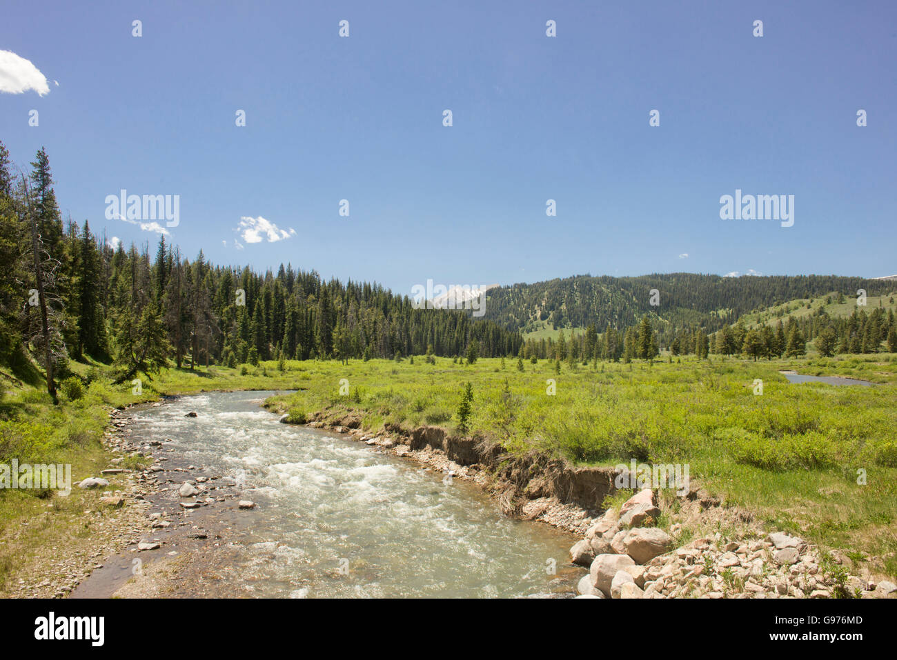 Taylor Creek in the Gallatin National Forest, near Bozeman, Montana. Stock Photo