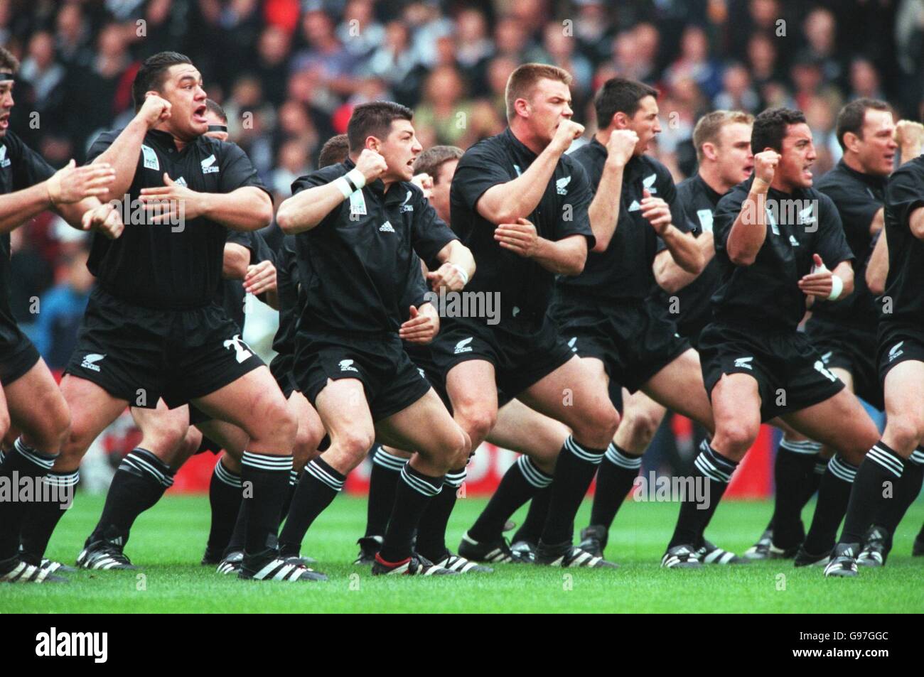 The new zealand team do the haka before the match hires stock