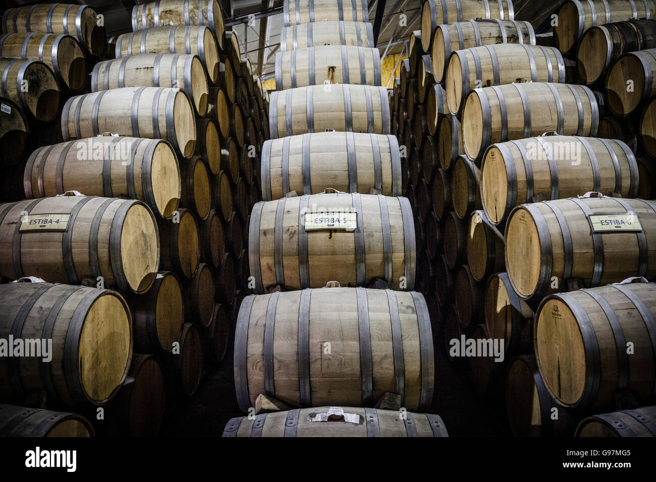Jose Cuervo tequila distillery cellars Tequila, Jalisco, Mexico Stock Photo Alamy