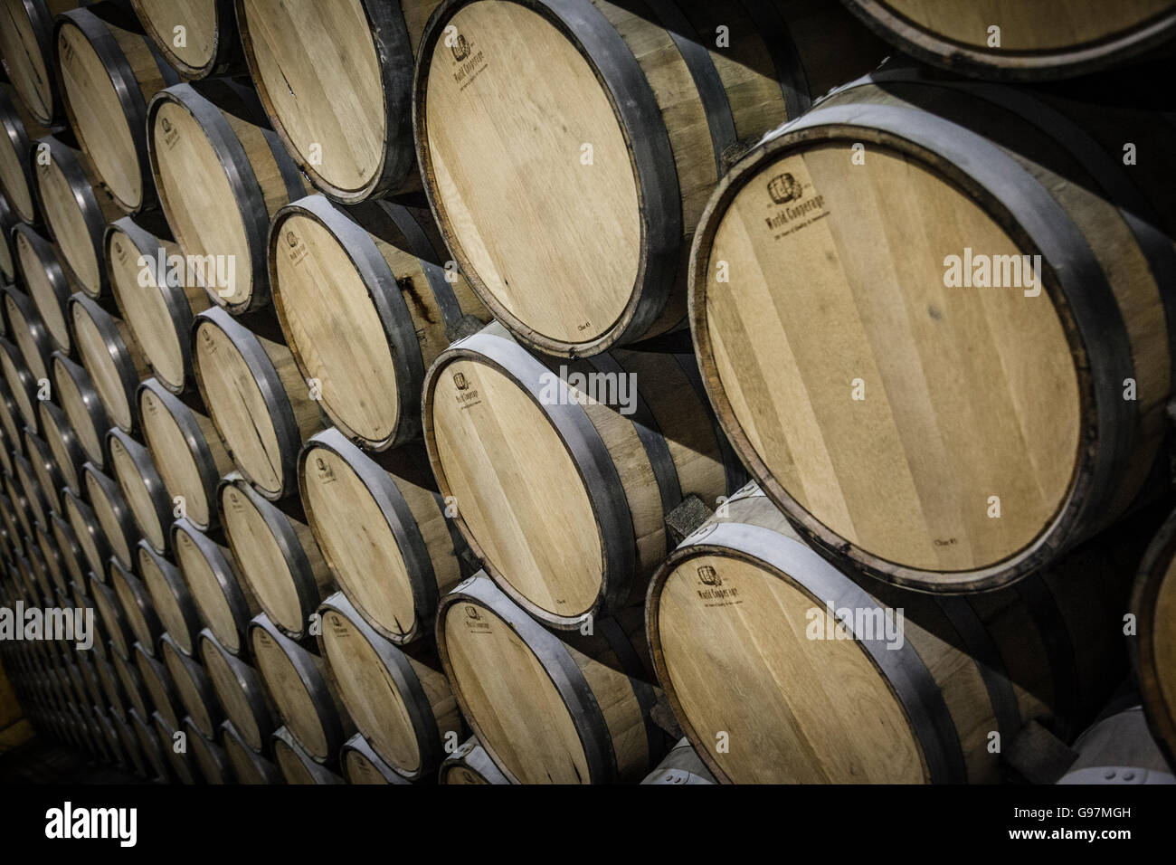 Jose Cuervo tequila distillery cellars Tequila, Jalisco, Mexico Stock
