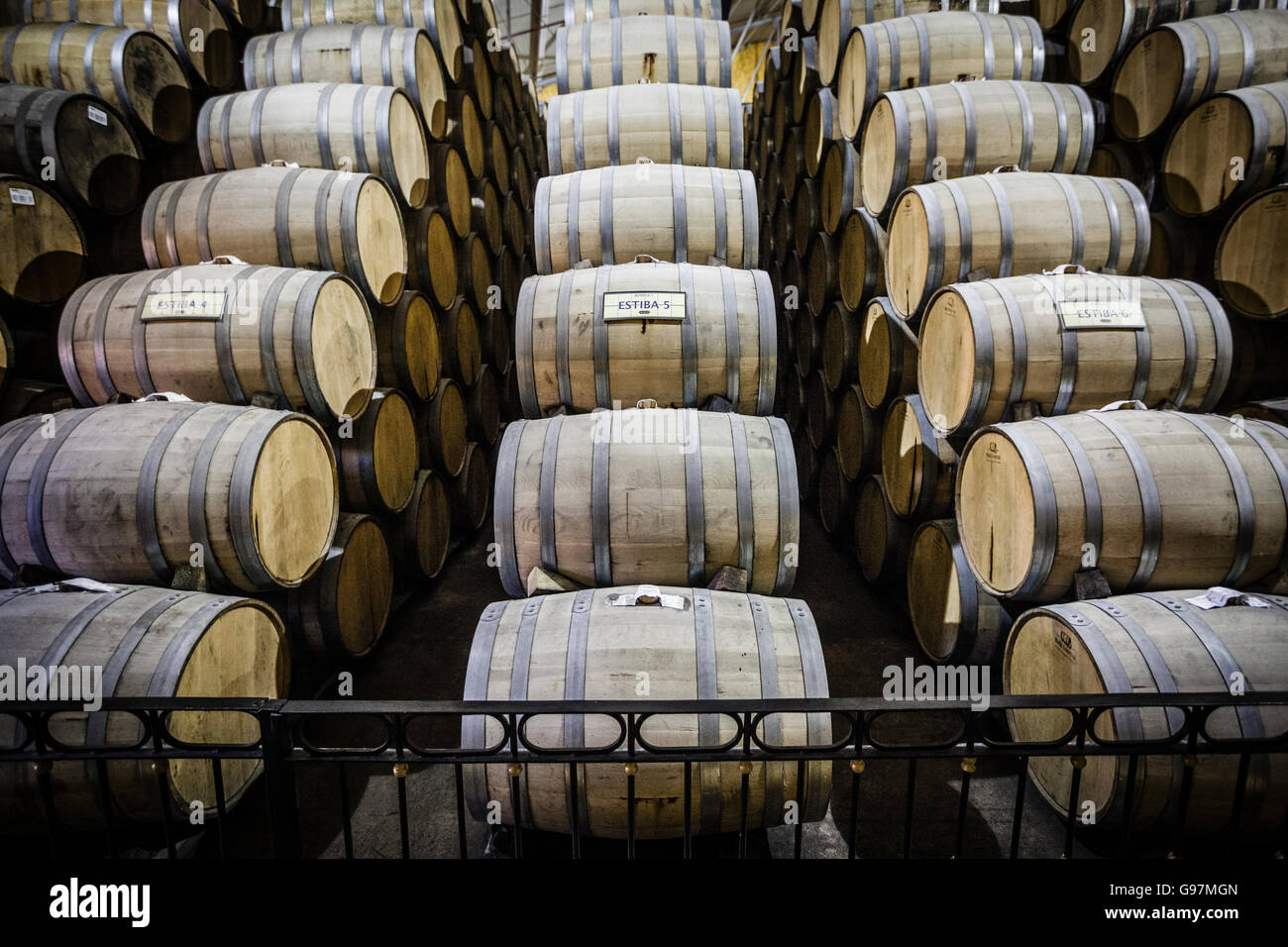 Jose Cuervo tequila distillery cellars Tequila, Jalisco, Mexico Stock