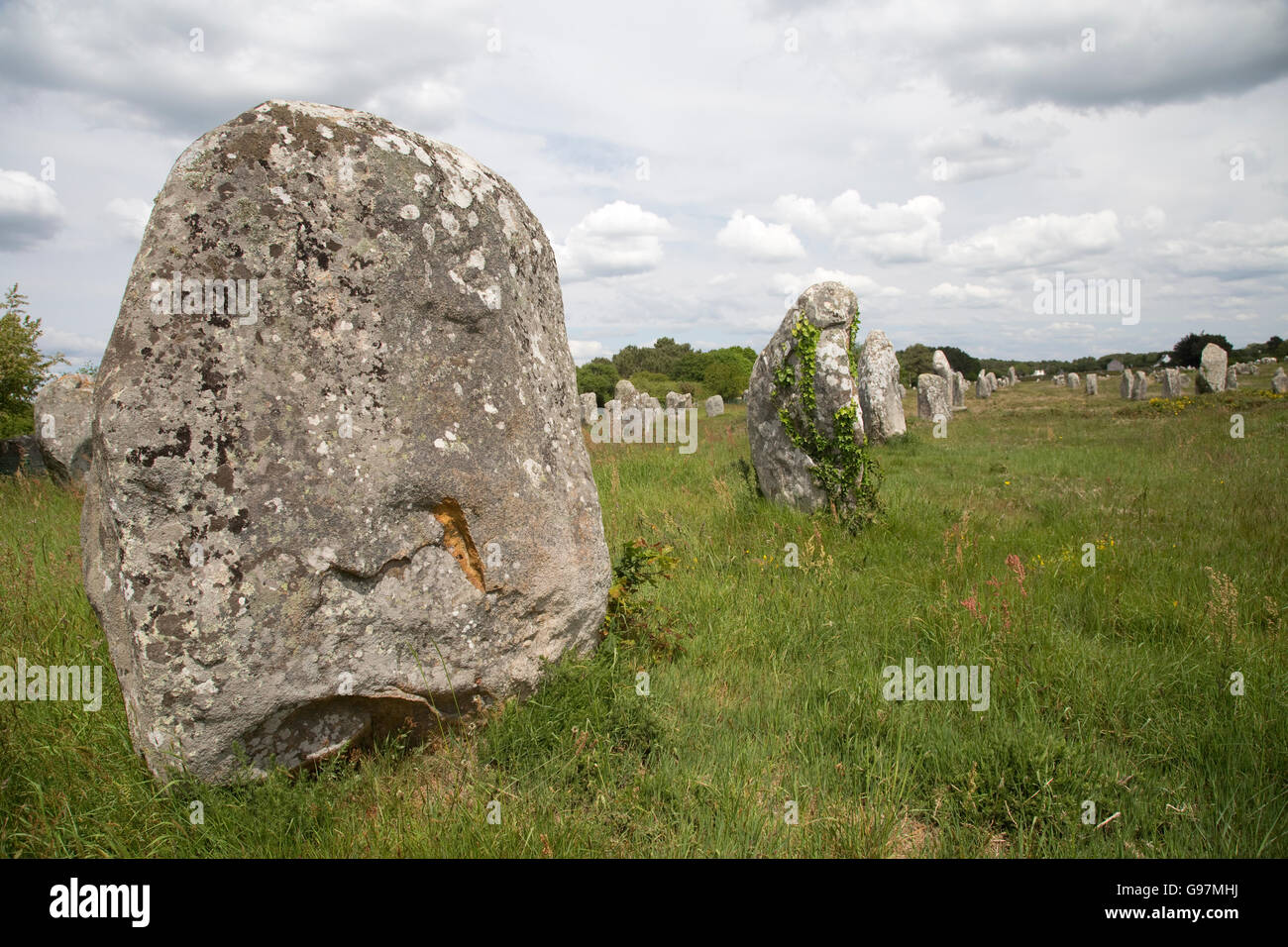 Carnac stones at Megalithic site Menec alignments Carnac Brittany France Stock Photo