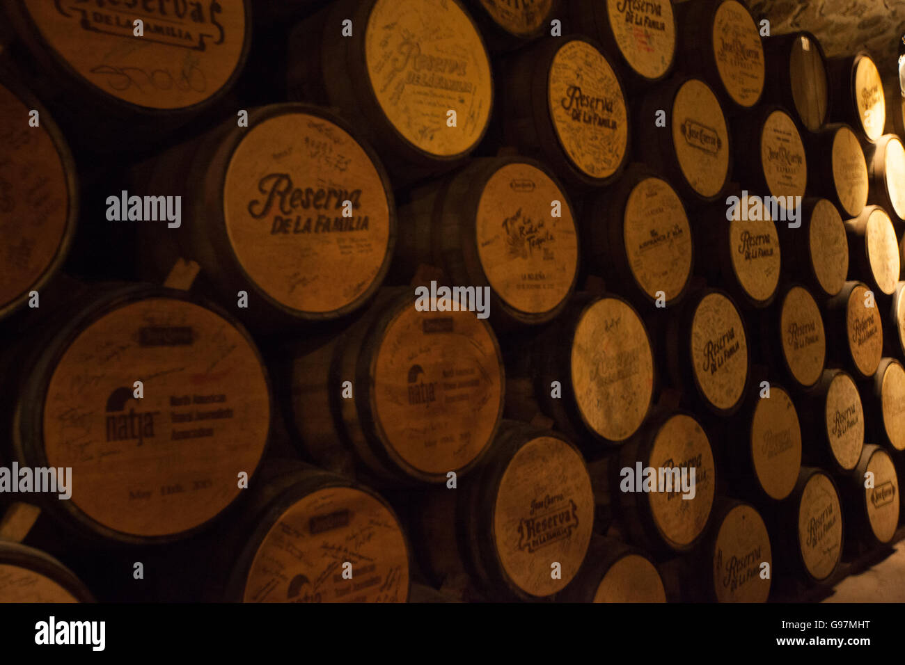 Jose Cuervo tequila distillery cellars Tequila, Jalisco, Mexico Stock