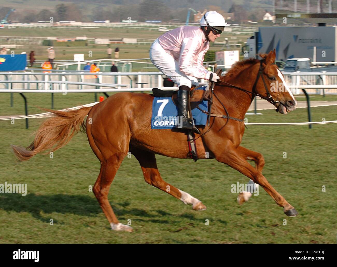 Horse Racing Cheltenham Festival Queen Mother Champion Chase Day
