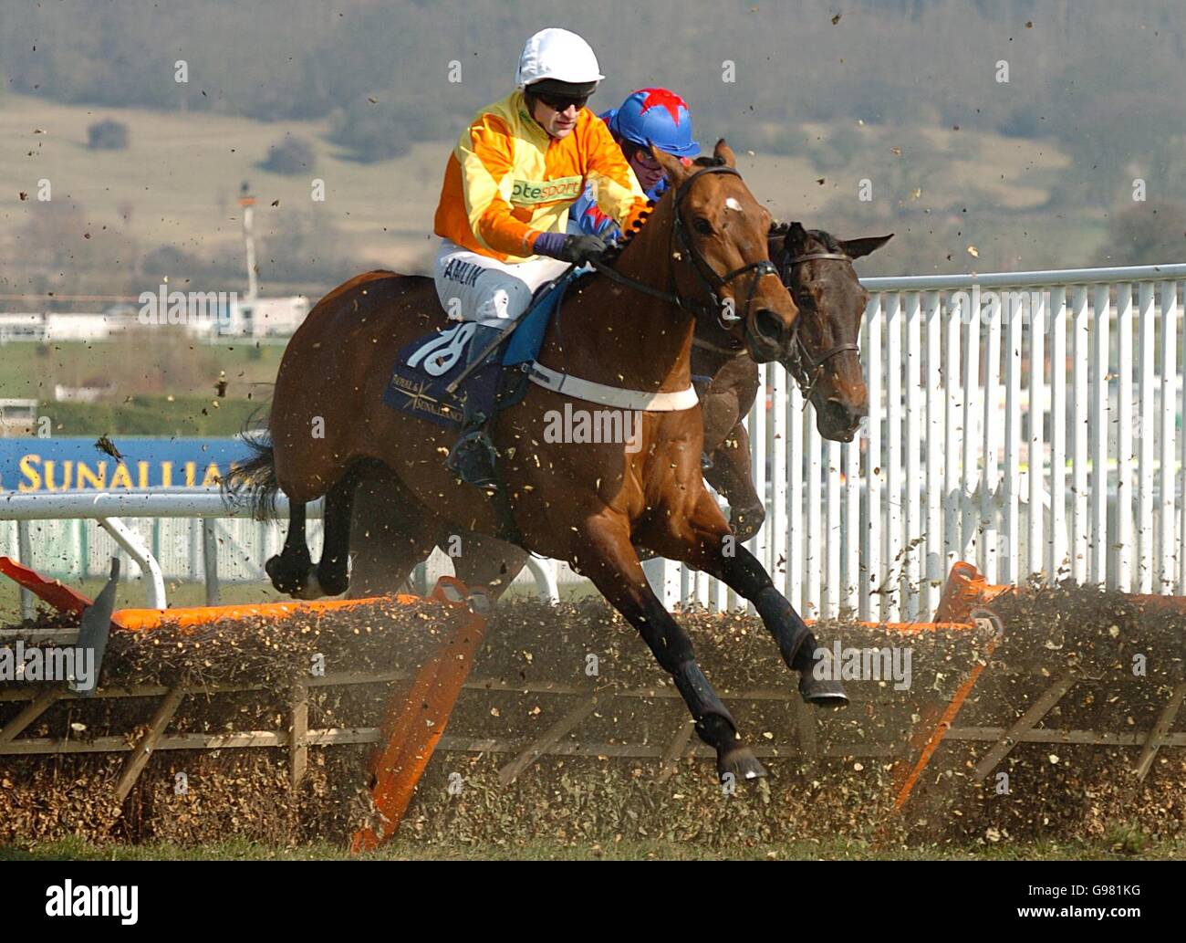 Horse Racing - Cheltenham Festival - Queen Mother Champion Chase Day - Cheltenham Racecourse. Legally Fast ridden by Andrew Thornton in The Royal and Sunalliance Novices' Hurdle Race (Class 1) Stock Photo