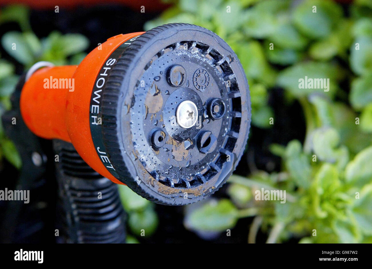 Hosepipe thames water hires stock photography and images Alamy