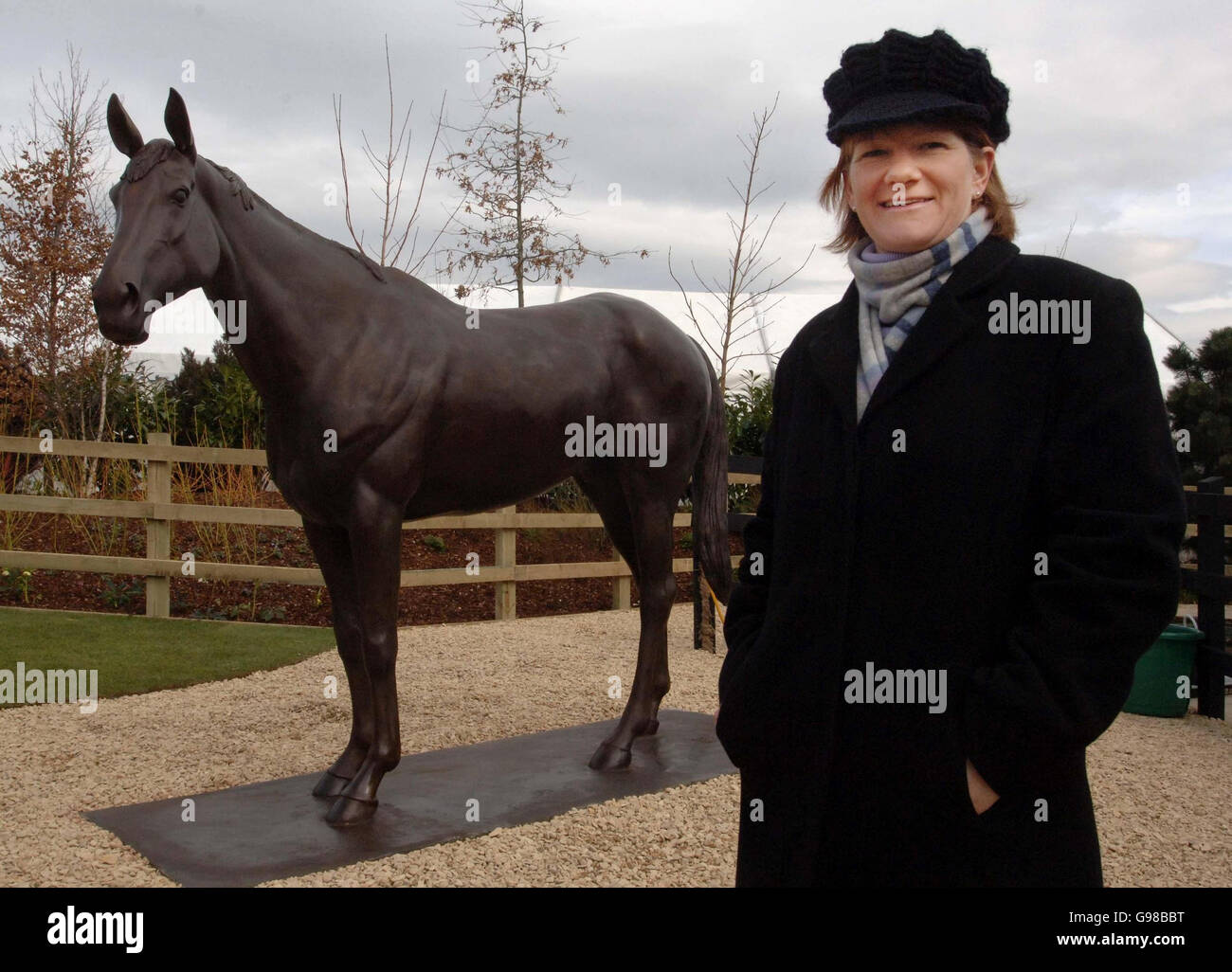 Best mate horse hires stock photography and images Alamy