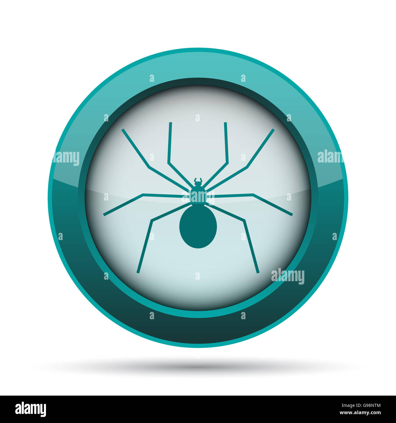 Spider icon. Internet button on white background Stock Photo - Alamy