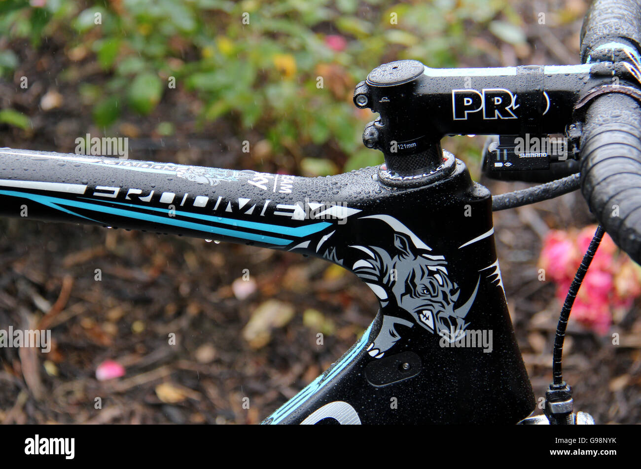 Detailing on Team Sky's Chris Froome bike after a press conference at the  Hotel Mercure Obama Beach, Chemin du Colombier Stock Photo - Alamy