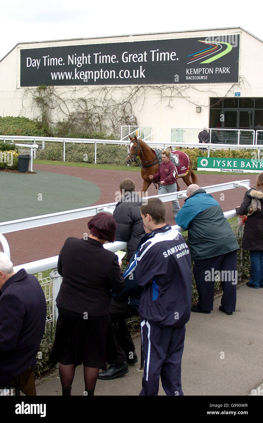 Horse Racing Kempton Park Stock Photo Alamy