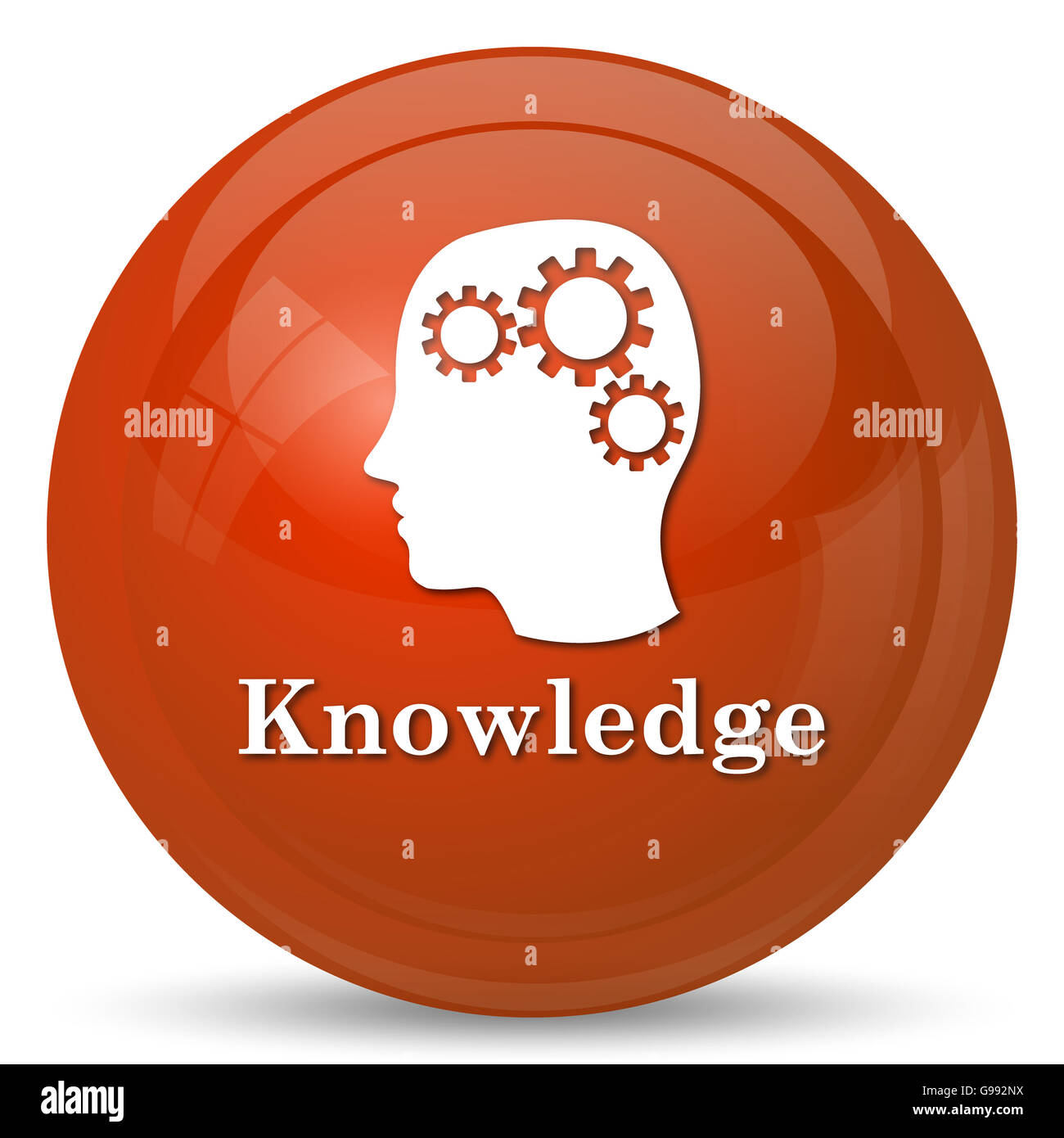 Knowledge icon. Internet button on white background Stock Photo - Alamy