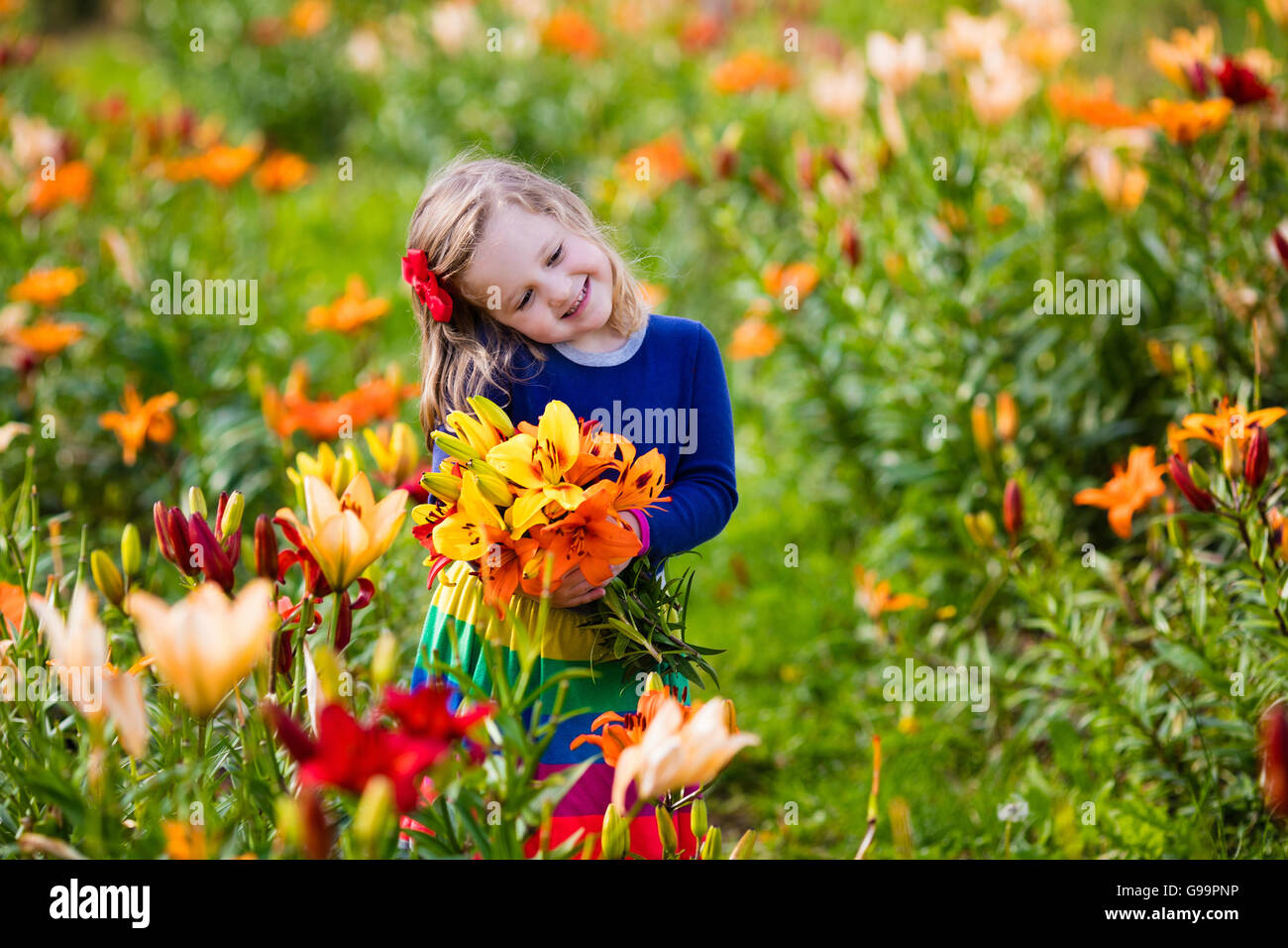 Cute little girl picking lily flowers in blooming summer garden. Child