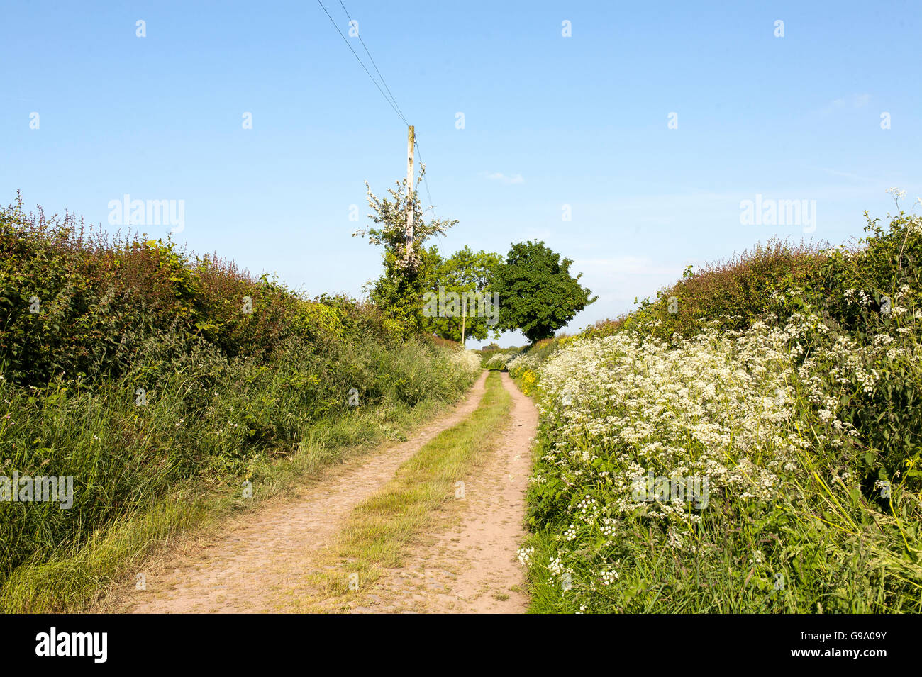 Dirt Track Through British Countryside Stock Photo
